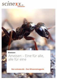 Ameisen (eBook, ePUB) - Lohmann, Dieter