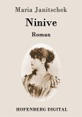 Ninive (eBook, ePUB)