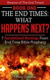 The End Times: What Happens Next? (Beware of the End Times!, #1) (eBook, ePUB)