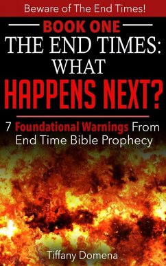 The End Times: What Happens Next? (Beware of the End Times!, #1) (eBook, ePUB) - Domena, Tiffany