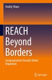 REACH Beyond Borders
