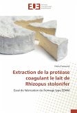 Extraction de la protéase coagulant le lait de Rhizopus stolonifer