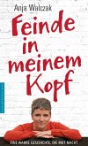 Feinde in meinem Kopf (eBook, ePUB)