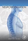 Innovative Neuromodulation (eBook, ePUB)