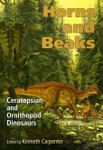 Horns and Beaks (eBook, ePUB)