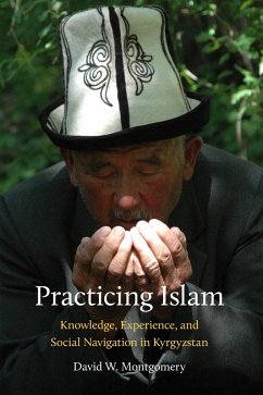 Cover Practicing Islam (eBook, ePUB)
