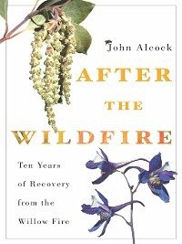 After the Wildfire (eBook, ePUB)