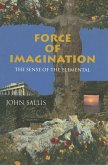 Force of Imagination (eBook, ePUB)