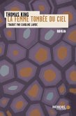 La femme tombee du ciel (eBook, ePUB) La femme tombee du ciel (eBook, ePUB)