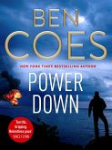 Power Down (eBook, ePUB)