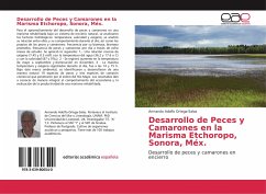 Desarrollo de Peces y Camarones en la Marisma Etchoropo, Sonora, Méx.