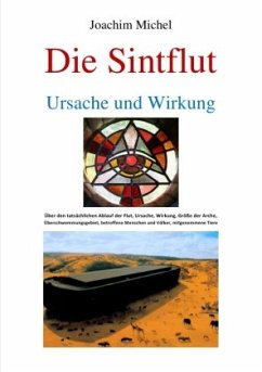 Die Sintflut, Ursache und Wirkung - Michel, Joachim