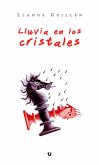 Lluvia en los cristales (eBook, ePUB)