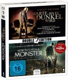 Mystery Double Pack 2: Warte, bis es dunkel wird & How to Catch a Monster