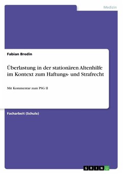 Überlastung in der stationären Altenhilfe im Kontext zum Haftungs- und Strafrecht - Bredin, Fabian