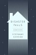 Disaster Falls (eBook, ePUB) - Bild 1