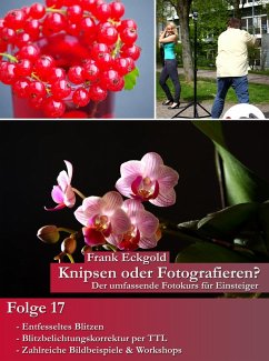 Knipsen oder Fotografieren?   Folge 17 (eBook, ePUB) - Eckgold, Frank