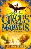 The Gold Thief (Ned's Circus of Marvels, Book 2) (eBook, ePUB)