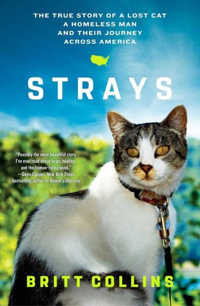 Strays (eBook, ePUB)