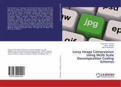 Lossy Image Compression Using Multi Scale Decomposition Coding Schemes