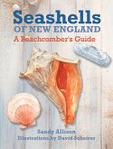 Seashells of New England (eBook, ePUB) Seashells of New England (eBook, ePUB)