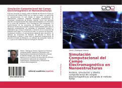 Simulación Computacional del Campo Electromagnético en Nanoestructuras