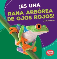 ¡Es Una Rana Arbórea de Ojos Rojos! (It's a Red-Eyed Tree Frog!) - Kenan, Tessa