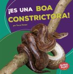 ¡Es Una Boa Constrictora! (It's a Boa Constrictor!)