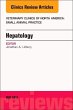 Hepatology, an Issue of Veterinary... - Bild 1