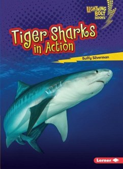 Tiger Sharks in Action - Silverman, Buffy