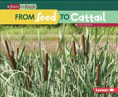 From Seed to Cattail - Owings, Lisa