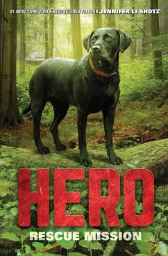 Hero - Shotz, Jennifer Li