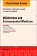 Wilderness and Environmental Medicine,... - Bild 1