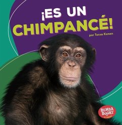 ¡Es Un Chimpancé! (It's a Chimpanzee!) - Kenan, Tessa