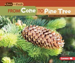 From Cone to Pine Tree - Carlson-Berne, Emma