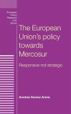 The European Union's policy towards Mercosur: Responsive not strategic