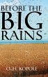 Before the Big Rains - Bild 1