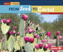 From Seed to Cactus - Owings, Lisa