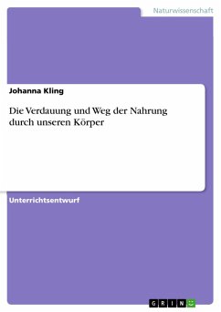 Die Verdauung und Weg der Nahrung durch unseren Körper (eBook, PDF) - Kling, Johanna