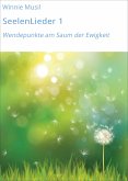 SeelenLieder 1 (eBook, ePUB)