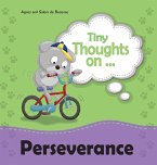 Tiny Thoughts on Perseverance