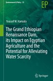 The Grand Ethiopian Renaissance Dam, its Impact on Egyptian Agriculture and the Potential for Alleviating Water Scarcity