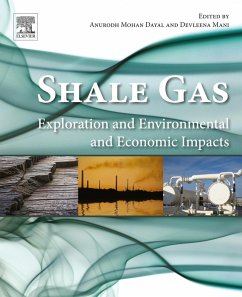 Shale Gas (eBook, ePUB)