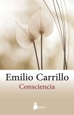 Consciencia (eBook, ePUB)
