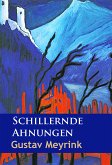 Schillernde Ahnungen (eBook, ePUB)