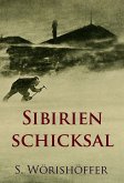 Sibirienschicksal (eBook, ePUB)