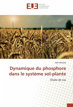 Dynamique du phosphore dans le système sol-plante - Mihoub, Adil