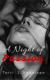 A Night of Passion (eBook, ePUB) A Night of Passion (eBook, ePUB)