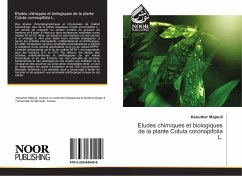 Etudes chimiques et biologiques de la plante Cotula coronopifolia L. - Majouli, Kaouther