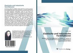 Elastische und inelastische Formfaktoren - Krini, Rahima